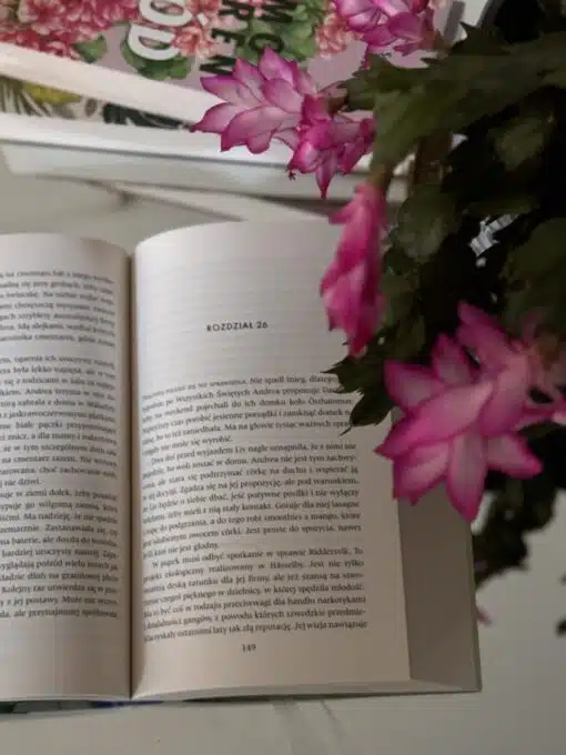 powieśc o problemach w rodzinie dramaty rodzinne - rozwód rodzeństwo konlikt z teściową