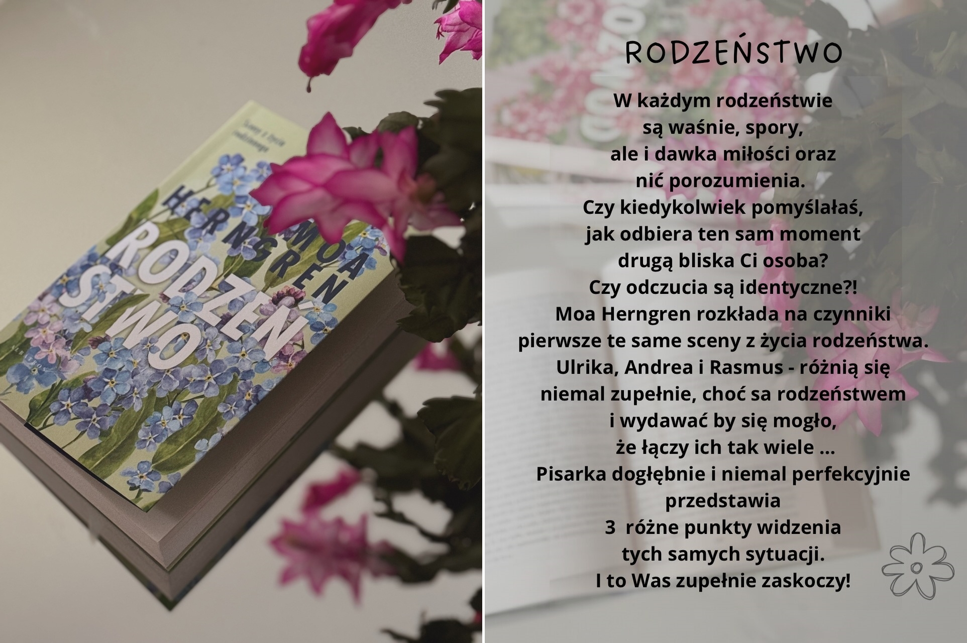Ksiązka o rodzeństwie, ksiązka o problemach w rodzeństwe jak żyć z godzie, o kochającym rodzeństwie dramat rodzinny szwedzka ksiązka o probleach rodzinnych ksiązka o związkach