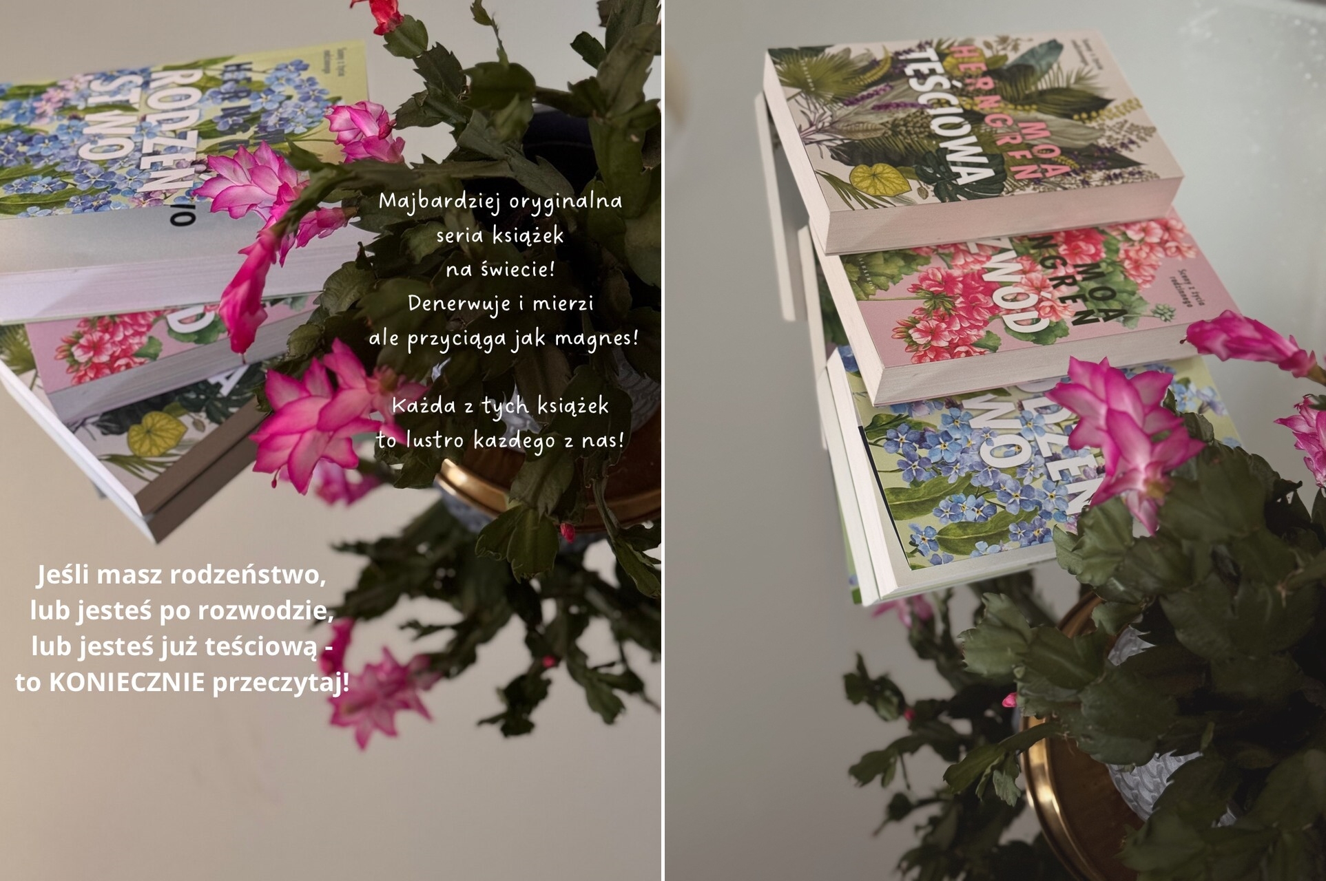 dramaty rodzinne powieśc o problemach rodzinnych saga o rodzinie i trudnych sprawach w rodzinie ksiażka o rozwodzie