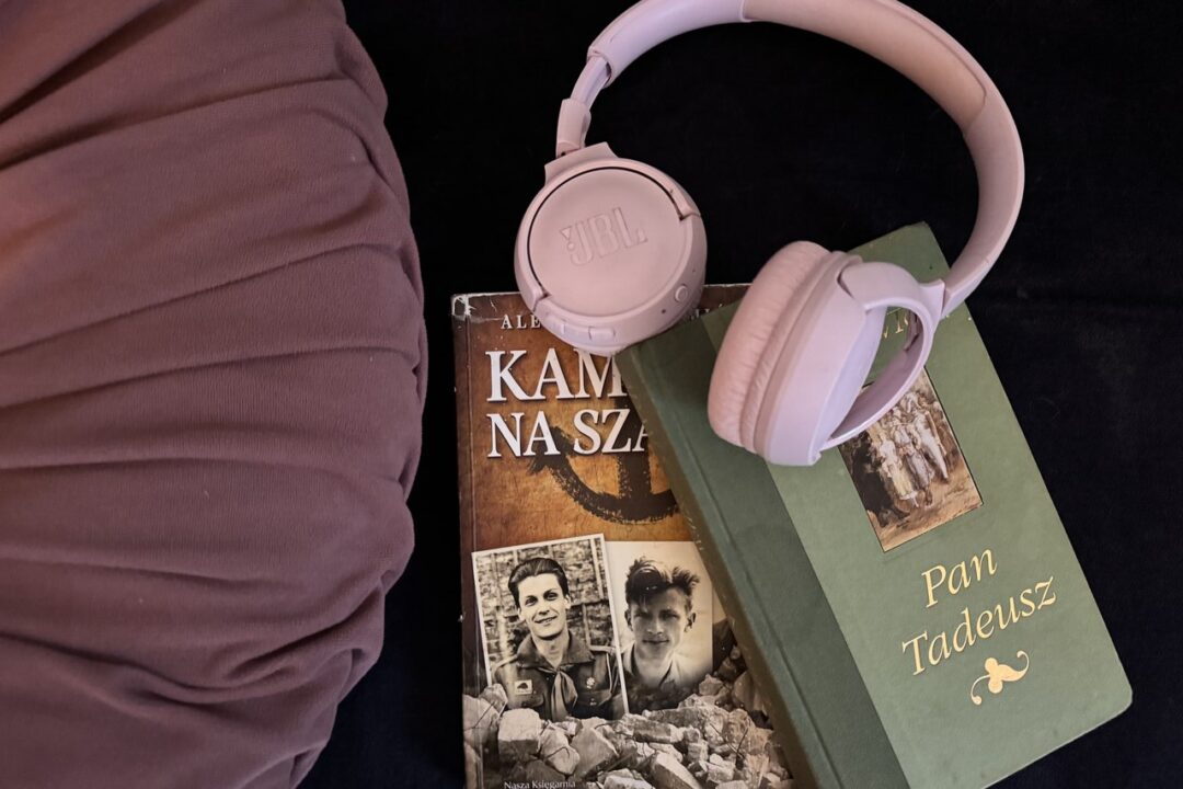 lektury szkolne do słuchania na egzamin ośmioklasisty audiobooki lektury szkolne opracowanie do słuchaia lektur szkolnych szkoła podstawowa lektry wykaz na egzamin ośmioklasisty